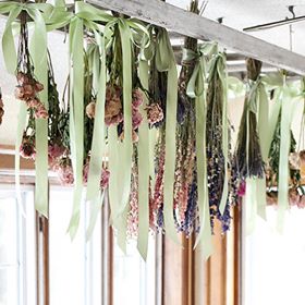 drying flowers workshop