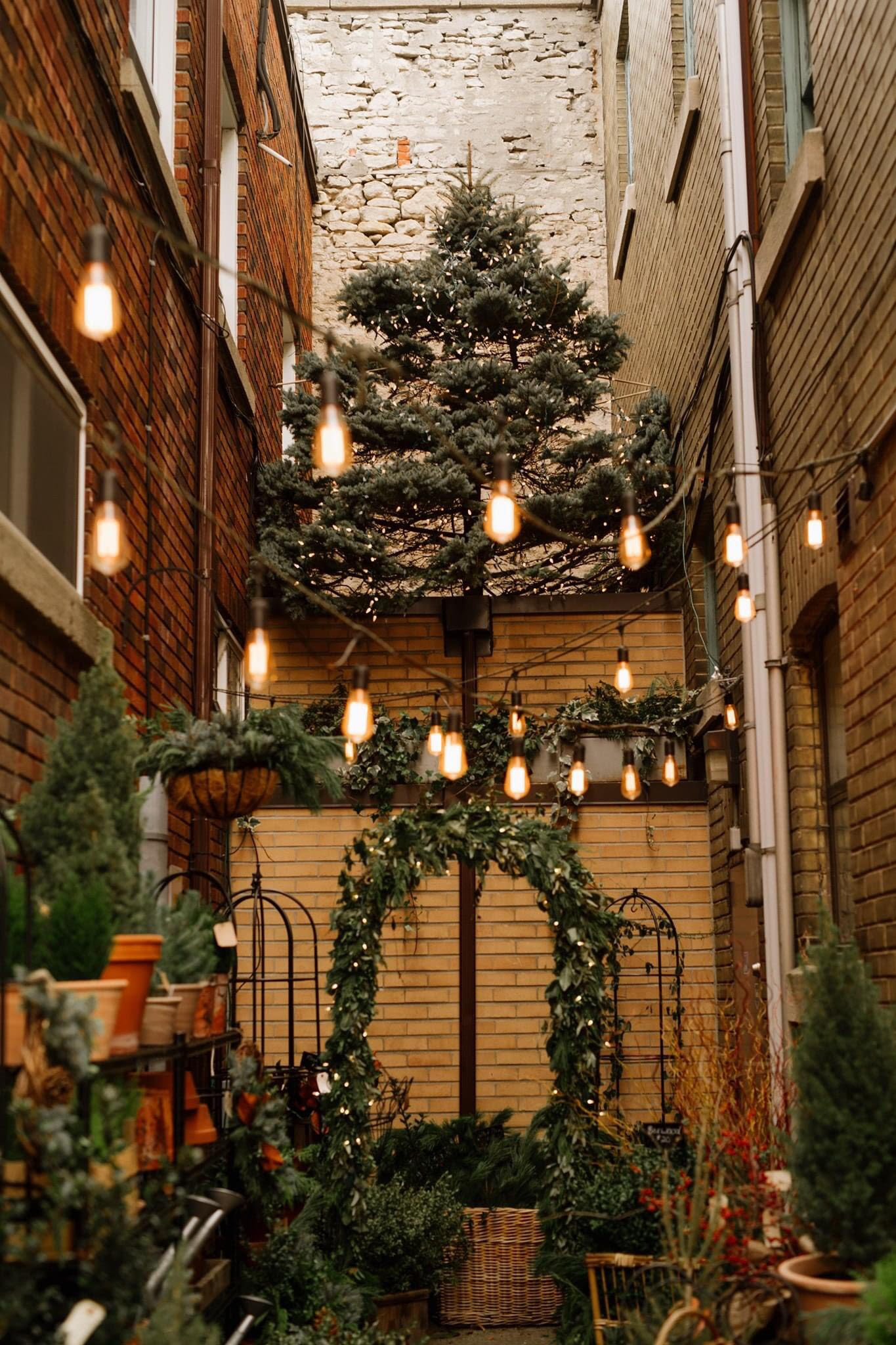 long shot of Allee with Christmas Tree seasonal front porch decor