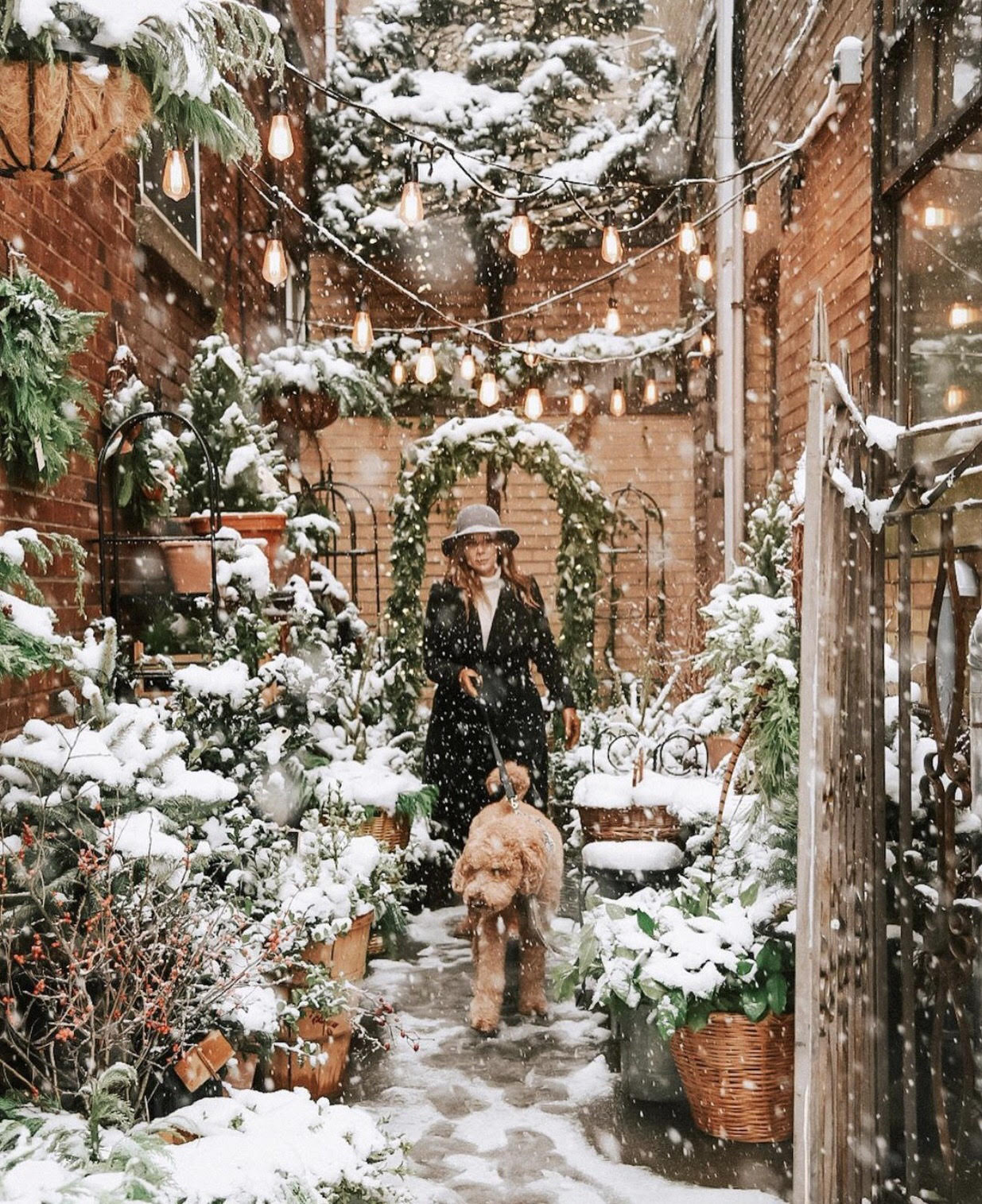 lady and her dog walking through snow filled Allee Pots and Christmas Greenery